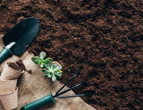 Topsoil vs. Garden Soil: Understanding the Difference